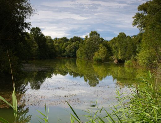 Riserva Naturale Oasi di Serranella
