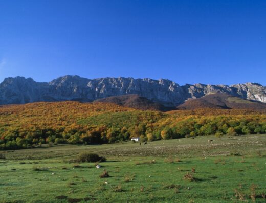 Tra le meraviglie del Parco regionale Sirente Velino