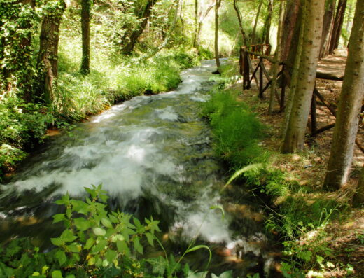 Parco fluviale delle Acquevive